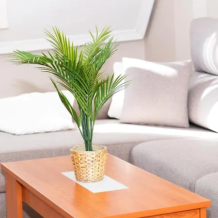 Velayli - En El Centro De Appartement Finisterre