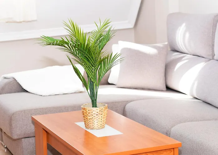 Velayli - En El Centro De Διαμέρισμα Finisterre